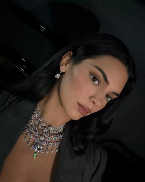 
                Кендалл Дженнер планирует уйти из модельного бизнеса            