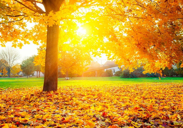 Модная цветовая палитра в одежде: оттенки осени